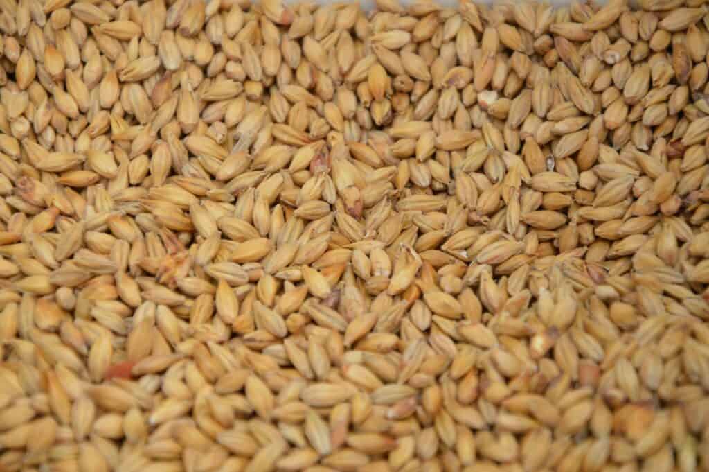 grain for use in high tip buckets ba caulkett